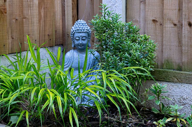 Transform Your Backyard with These Creative Garden Ideas - Shrubhub