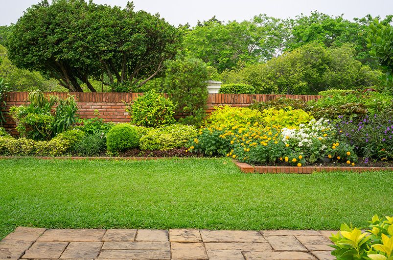 Transform Your Backyard with These Creative Garden Ideas - Shrubhub