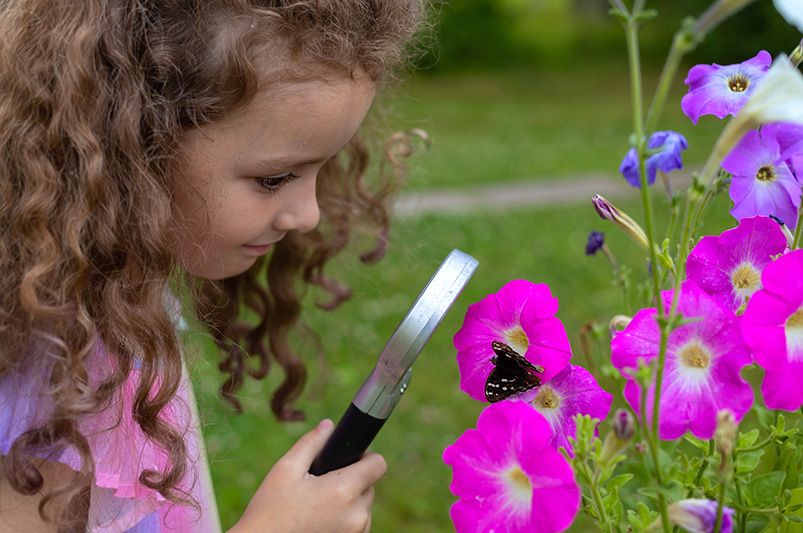 Ultimate Guide To Creating a Kid-Friendly Backyard - Shrubhub