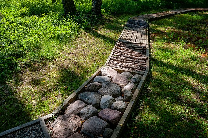 Ultimate Guide To Creating a Kid-Friendly Backyard - Shrubhub