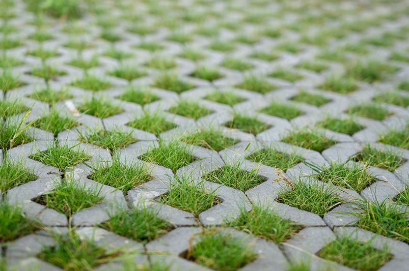 Innovative Ways to Enhance Your Lawn's Drainage - Shrubhub