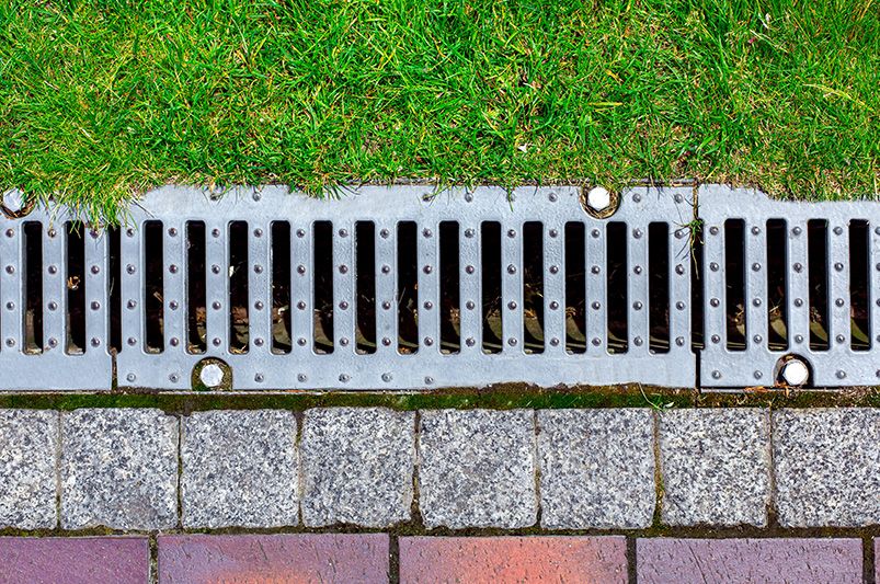 Innovative Ways to Enhance Your Lawn's Drainage - Shrubhub