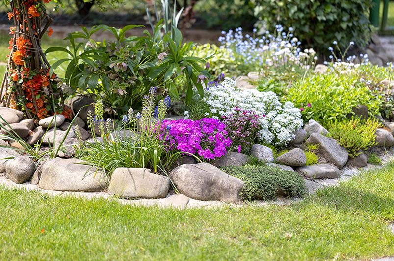 Professional Landscaping Service: What To Expect - Shrubhub