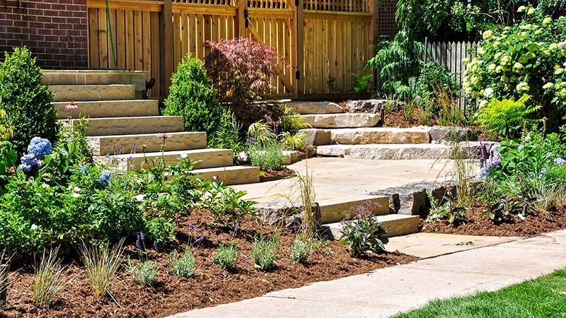 Professional Landscaping Service: What To Expect - Shrubhub