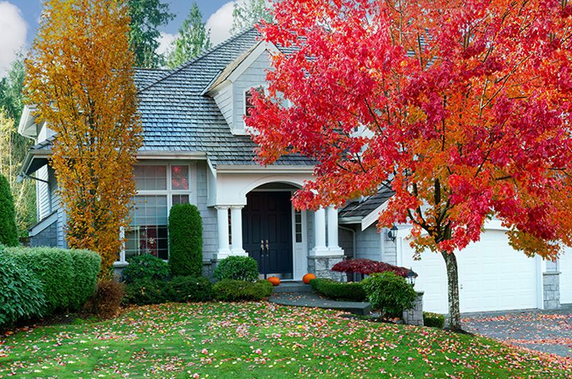 Fall Landscaping: Getting Started in the Autumn Season - Shrubhub