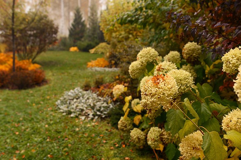 Fall Landscaping: Getting Started in the Autumn Season - Shrubhub