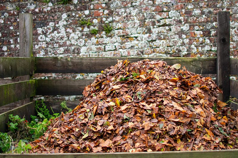 Fall Landscape Cleanup: Your Complete Checklist - Shrubhub