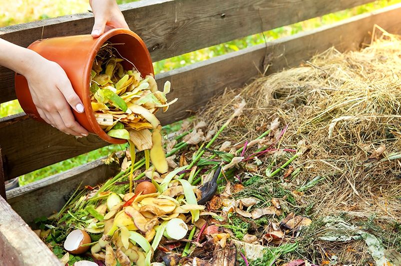 Go Green: Make Your Yard More Eco-Friendly with These Tips - Shrubhub