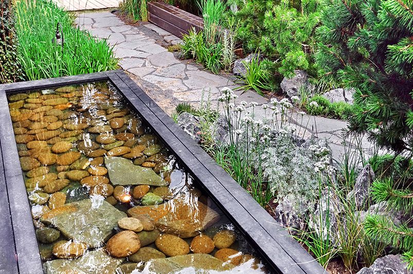 10 Reasons Adding Ponds Benefits Your Garden - Shrubhub