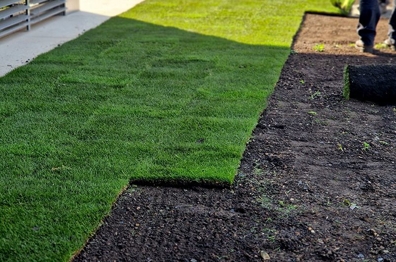 Natural Turf vs. Synthetic Turf: What’s Best for Your Yard - Shrubhub