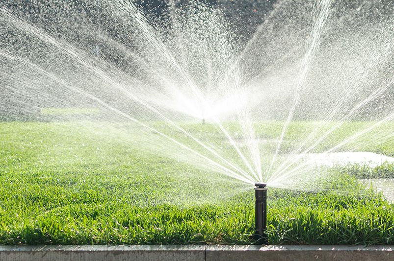 How to water your lawn correctly: The benefits of an irrigation plan - Shrubhub