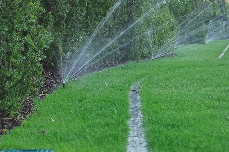 How to water your lawn correctly: The benefits of an irrigation plan - Shrubhub