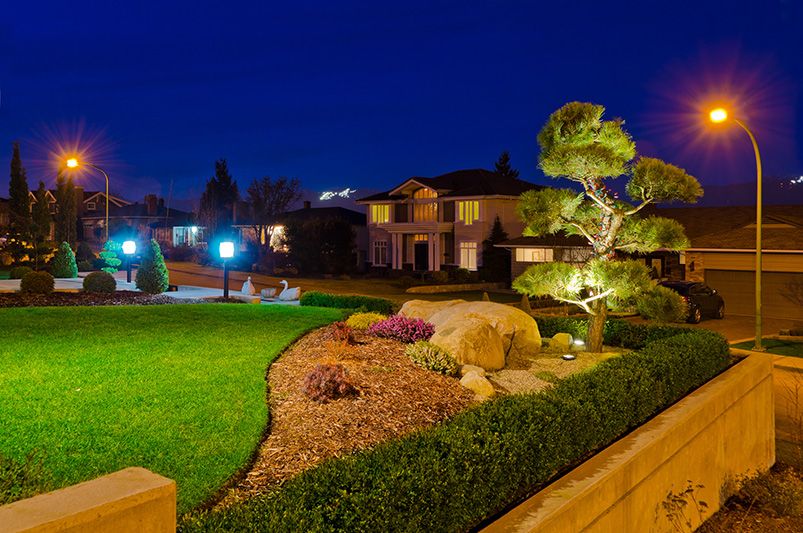 Landscape Lighting Made Easy: A Beginner's Guide - Shrubhub