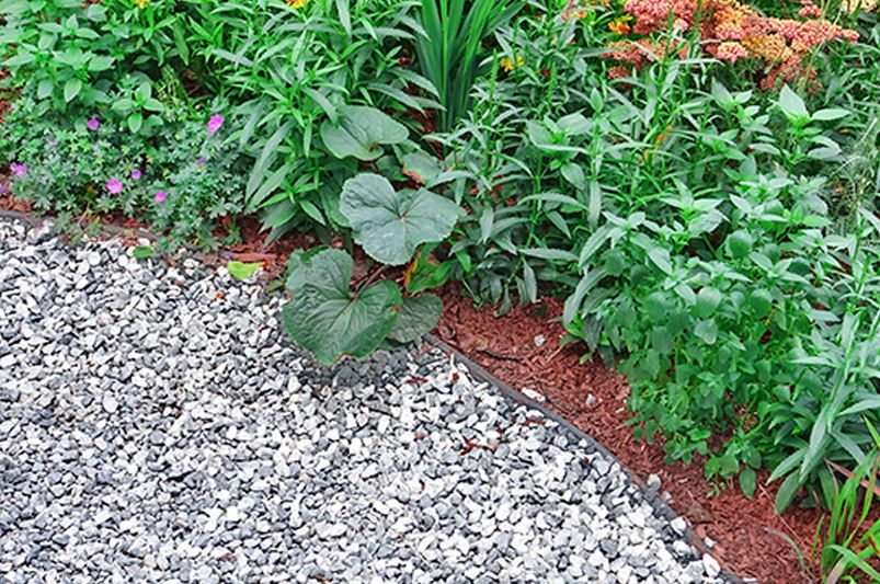 Transform Your Space: Outdoor Pathways Ideas - Shrubhub