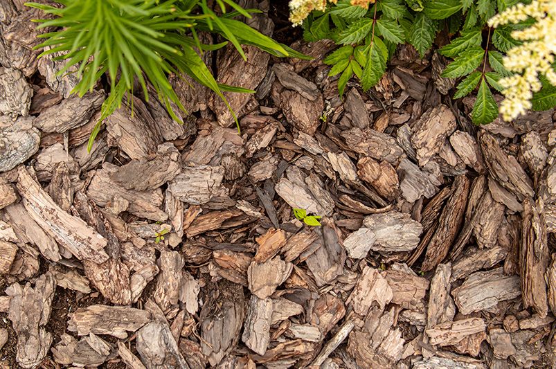 Top 3 benefits of using mulch in your landscaping - Shrubhub