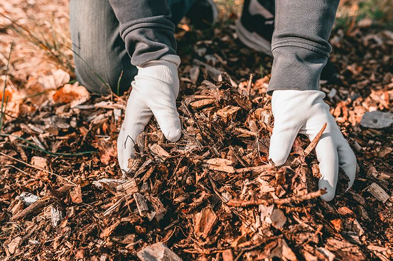 Top 3 benefits of using mulch in your landscaping - Shrubhub