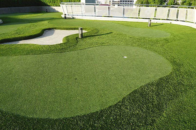 Backyard Putting Greens: Design, Benefits, and Maintenance - Shrubhub