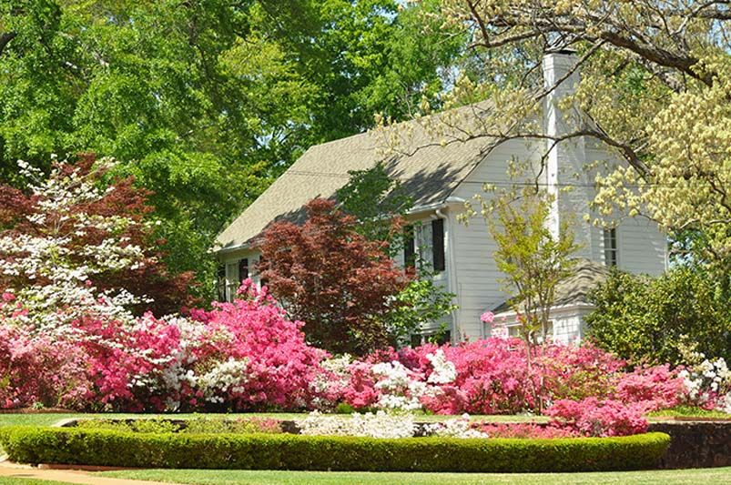 How to keep your landscaping looking great all year round - Shrubhub