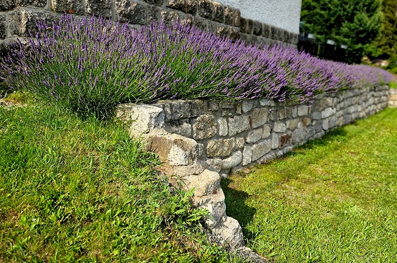 Top Reasons Why a Retaining Wall is a Smart Home Investment - Shrubhub