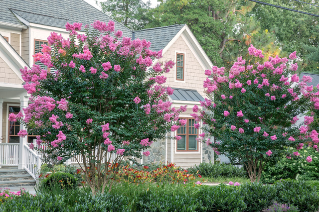 flowering_trees.jpg