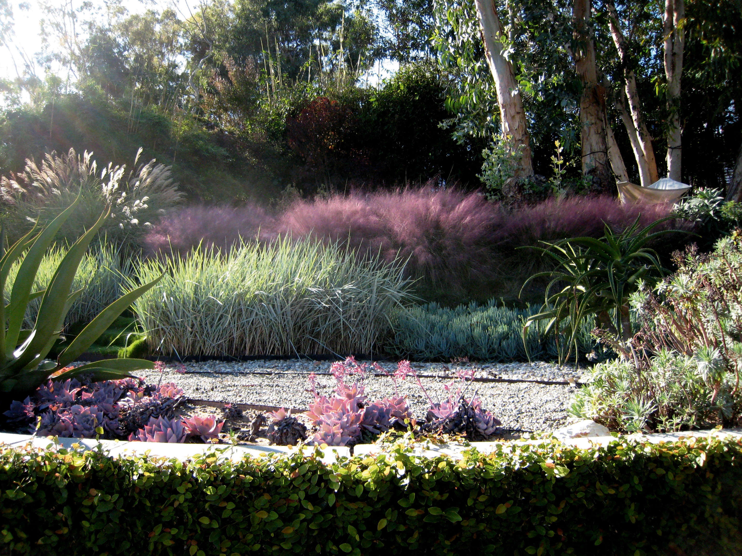 muhly_grass_uses.jpg