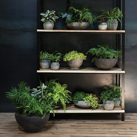 Parksdale Collection Shelf image