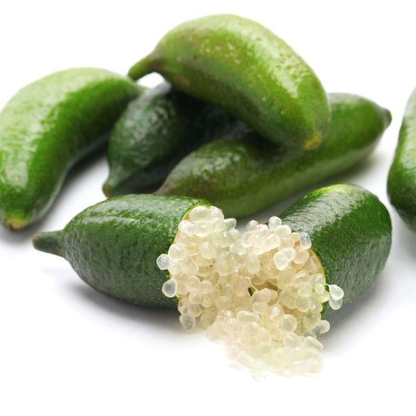 Australian Finger Lime image