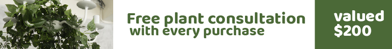 Plant Consultation