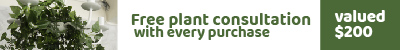 Plant Consultation