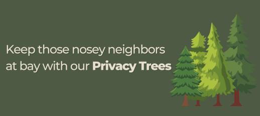 Privacy Trees